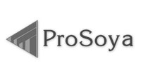 corporate video production toronto - prosoya